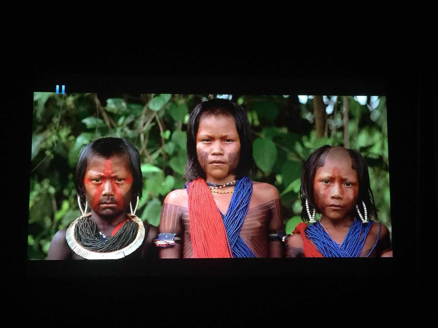 ALR Projection Screen ALR Écran de projection