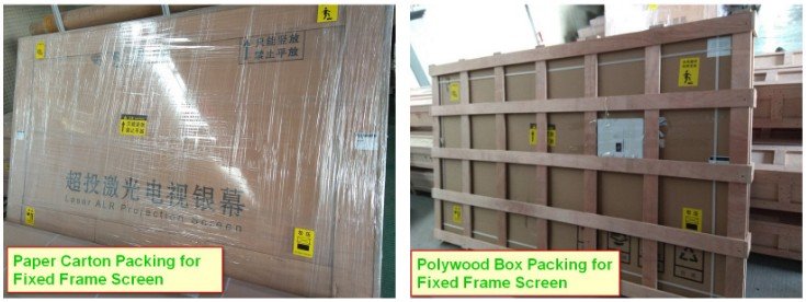 Projecteur Fresnel Package &eacute;cran