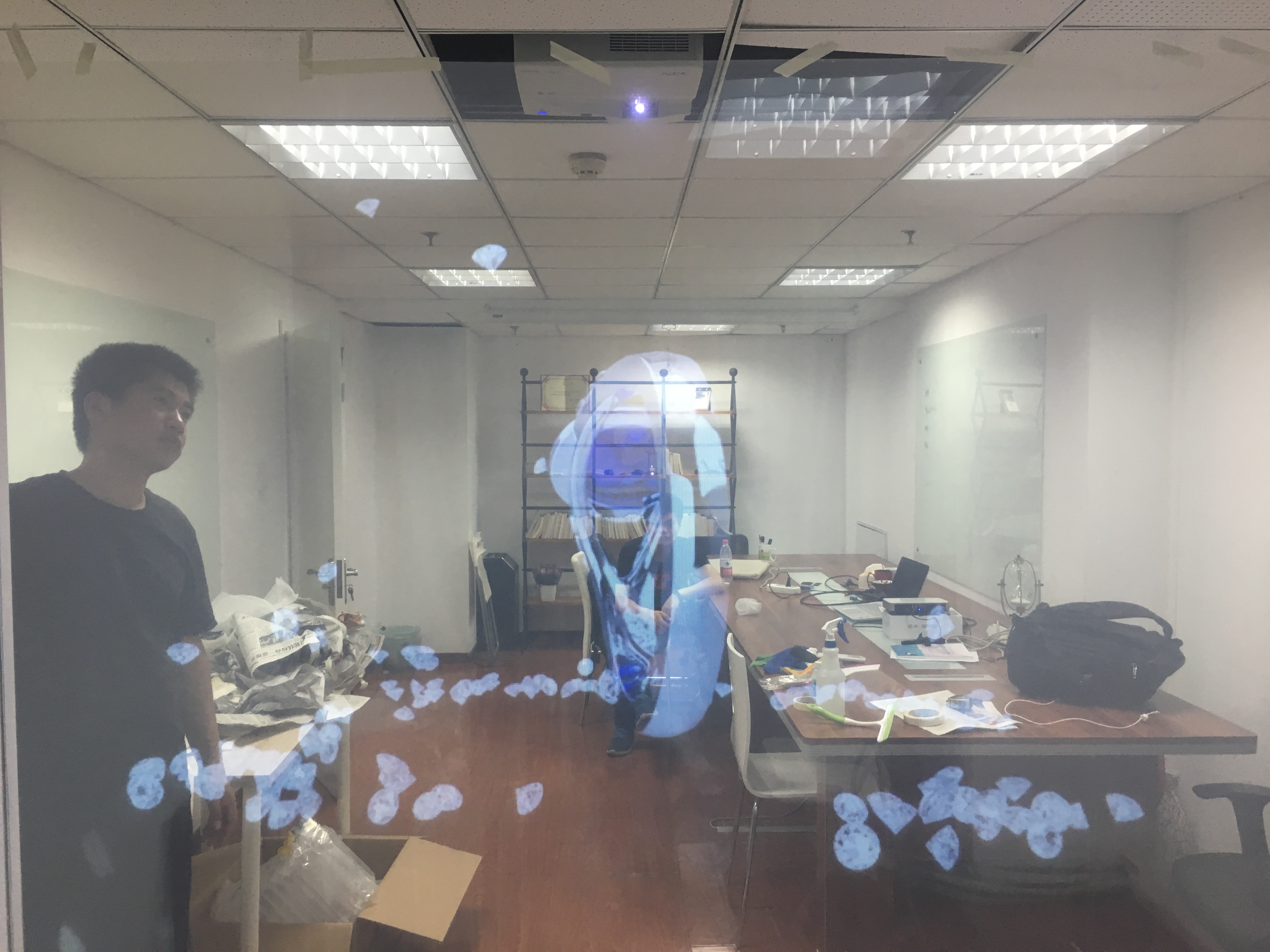 projection holographique